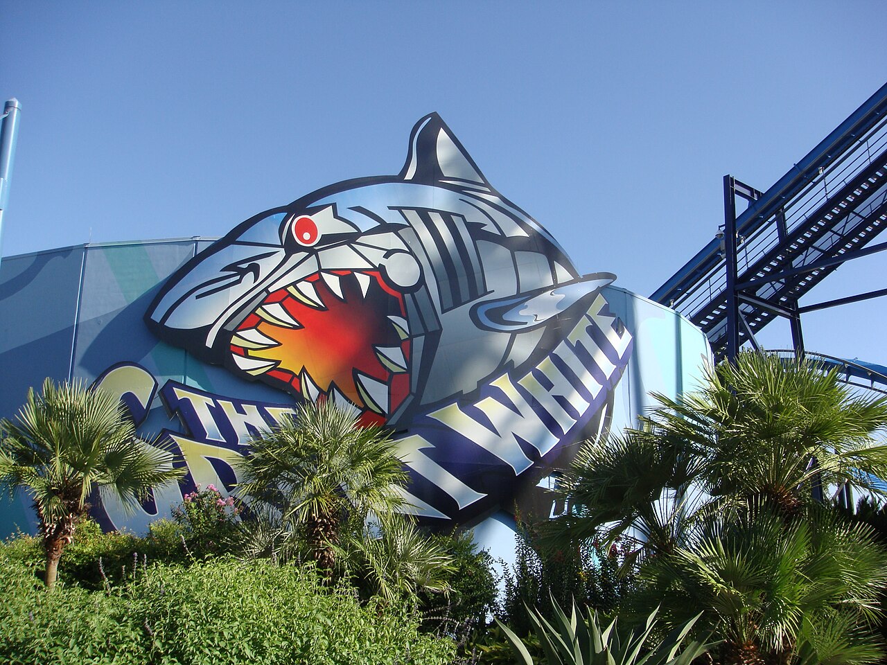 Great White at SeaWorld San Antonio