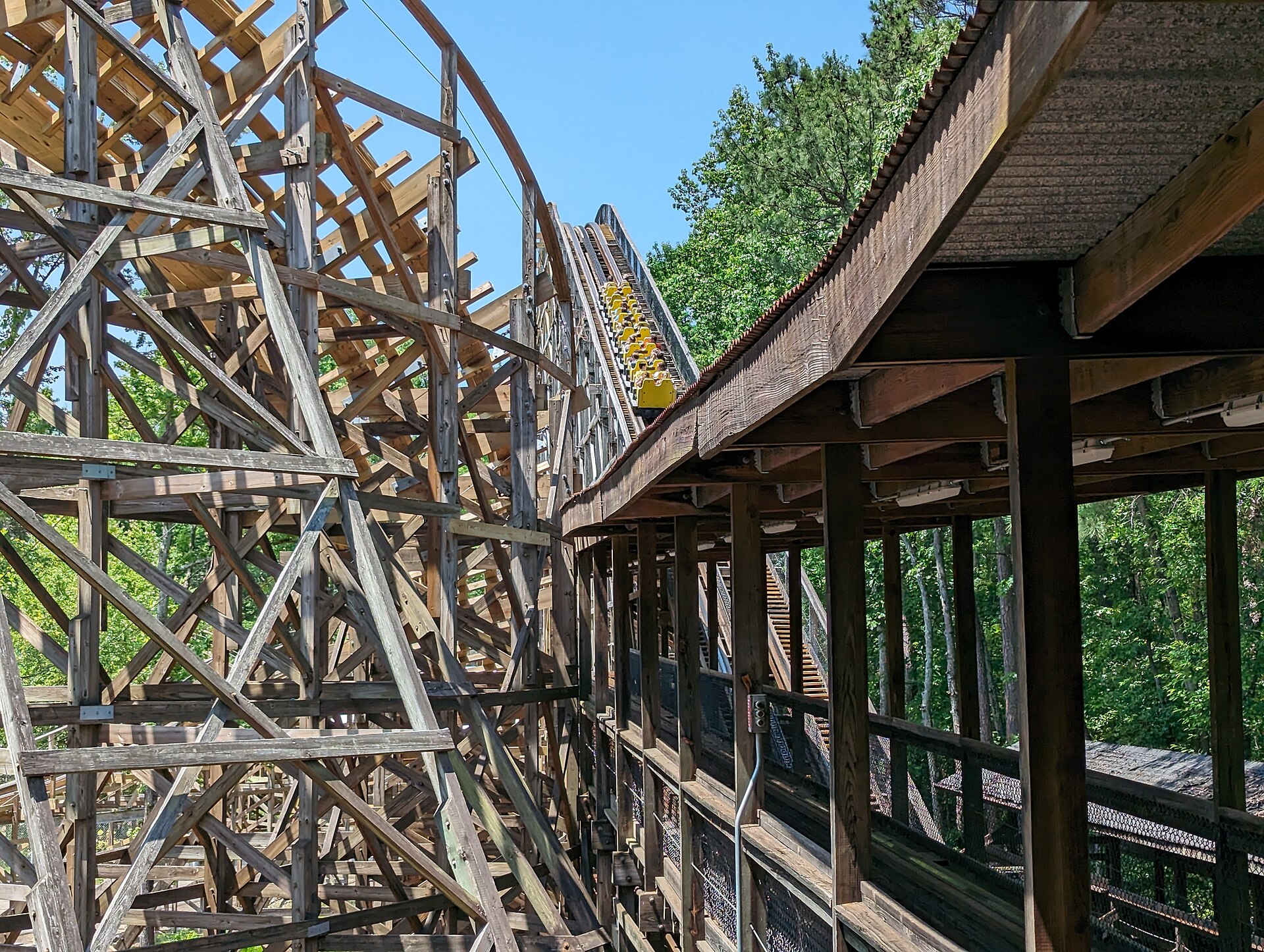 Grizzly at Kings Dominion