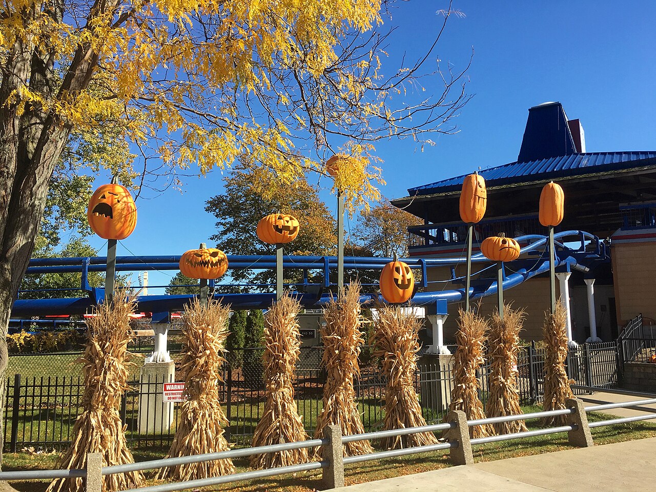 Pumpkins display during HalloWeekends near Corkscrew (Cedar Point) in Cedar Point