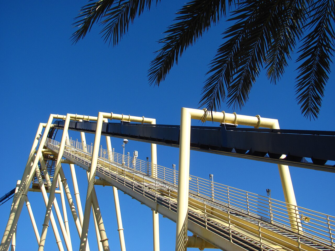 Montu Montu at Busch Gardens Tampa Bay