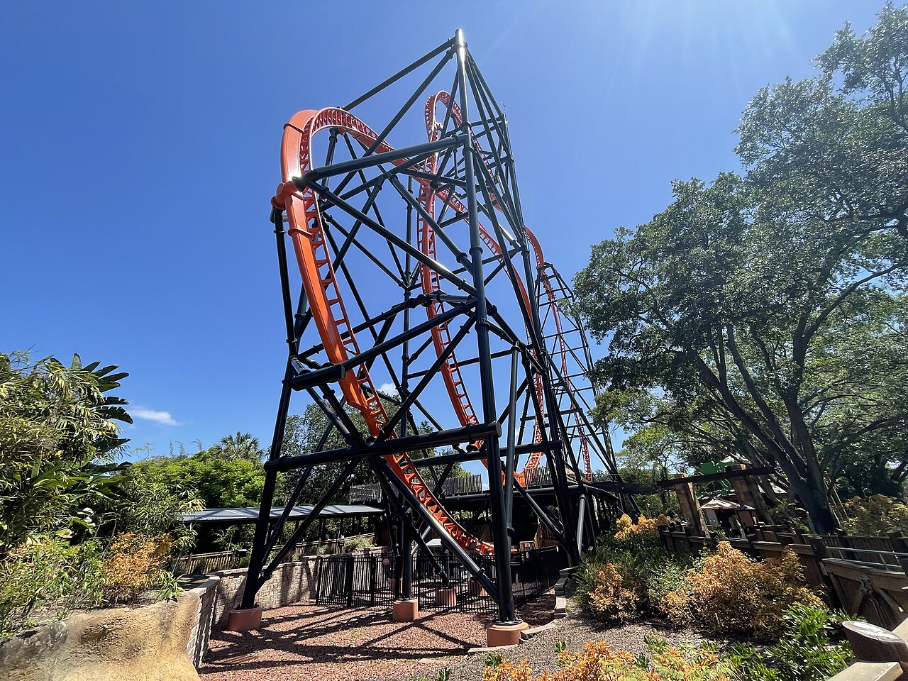 Tigris as picture from its queue area in fish eye lens at Busch Gardens Tampa Bay