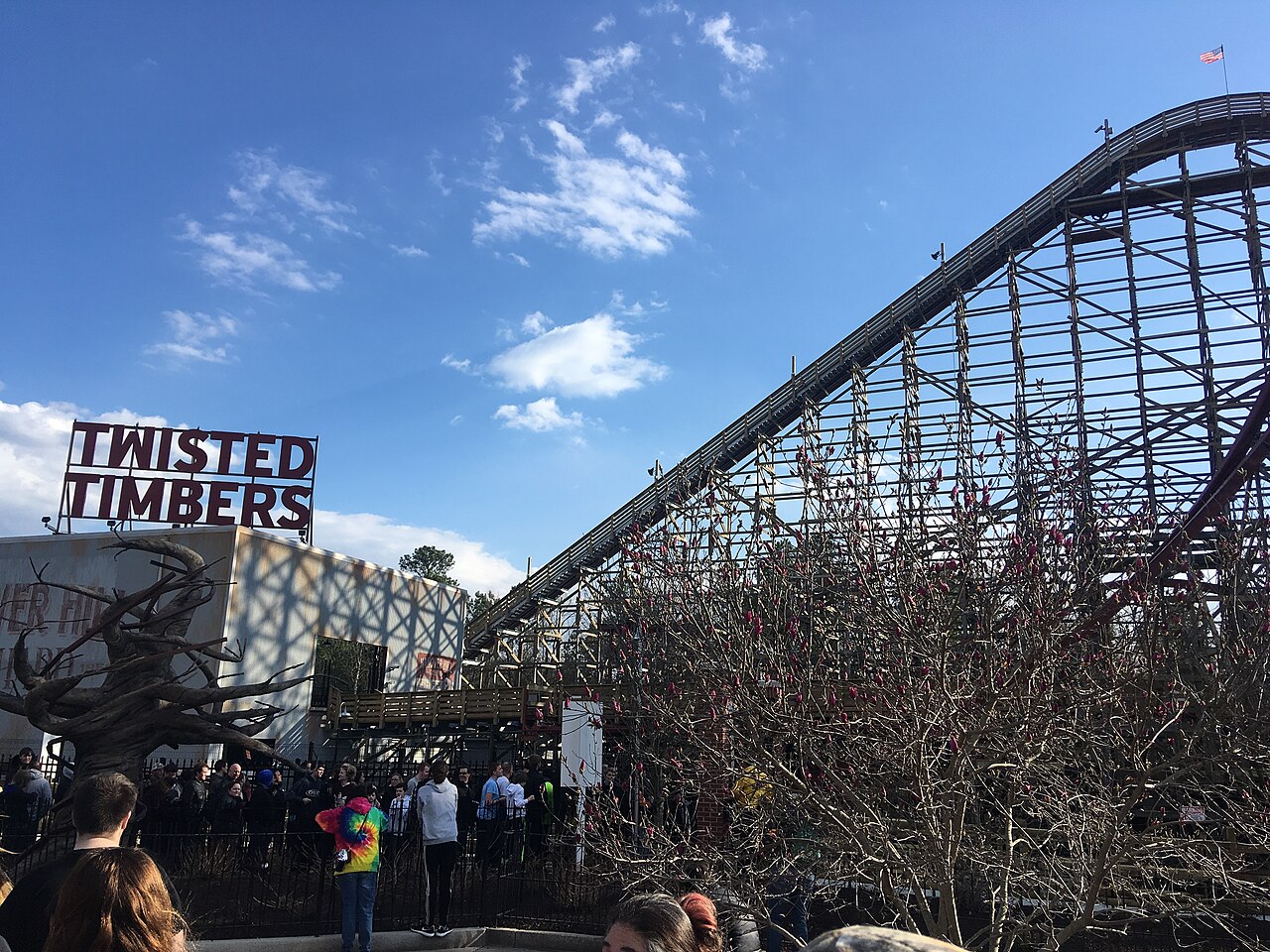 Sign and lift hill for Twisted Timbers, a roller coaster at Kings Dominion