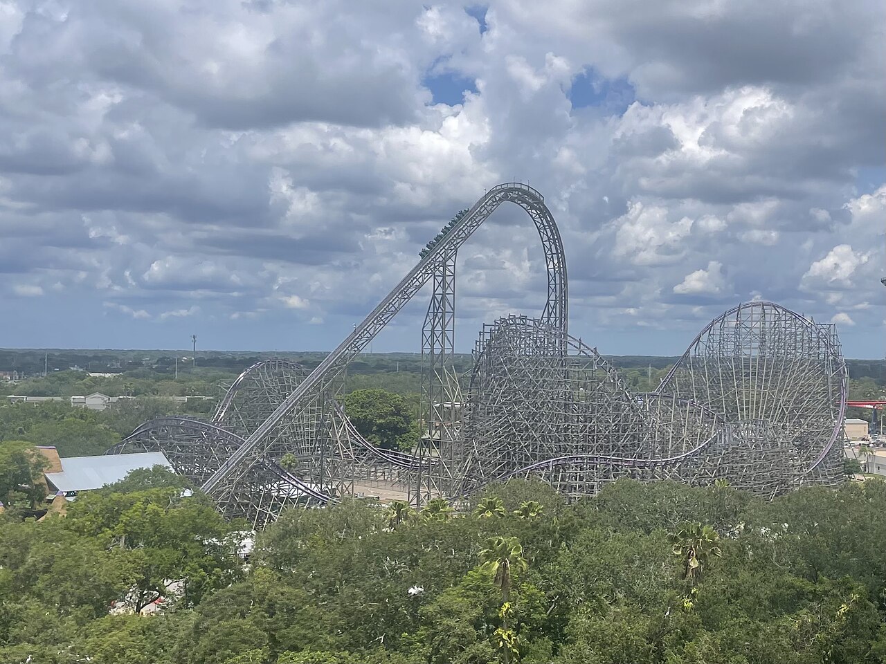 An overview of Iron Gwazi at Busch Gardens Tampa Bay