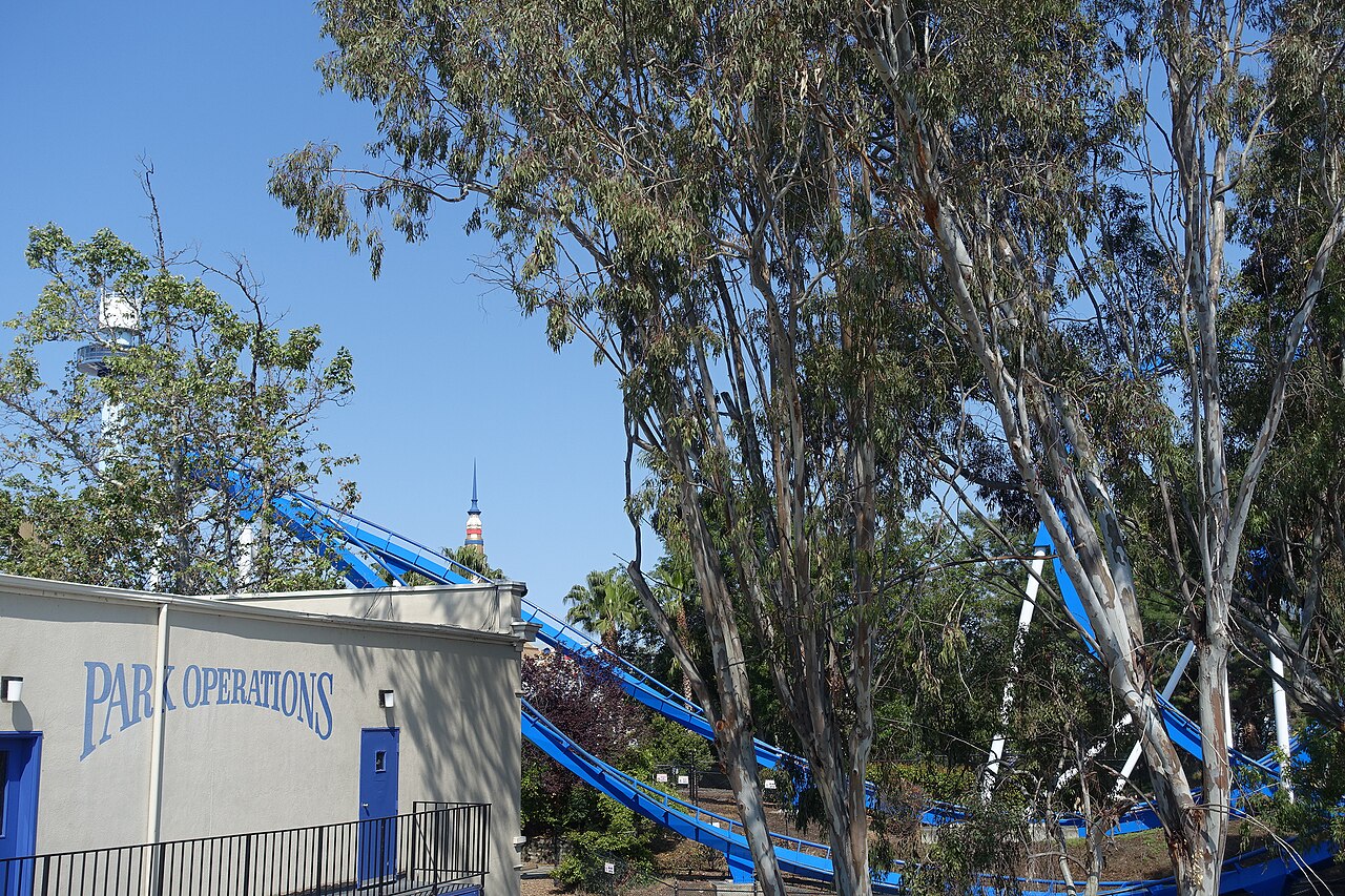 Patriot at California's Great America