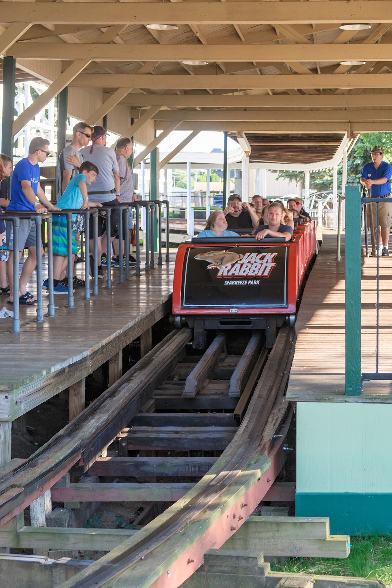 Jack Rabbit at Seabreeze
