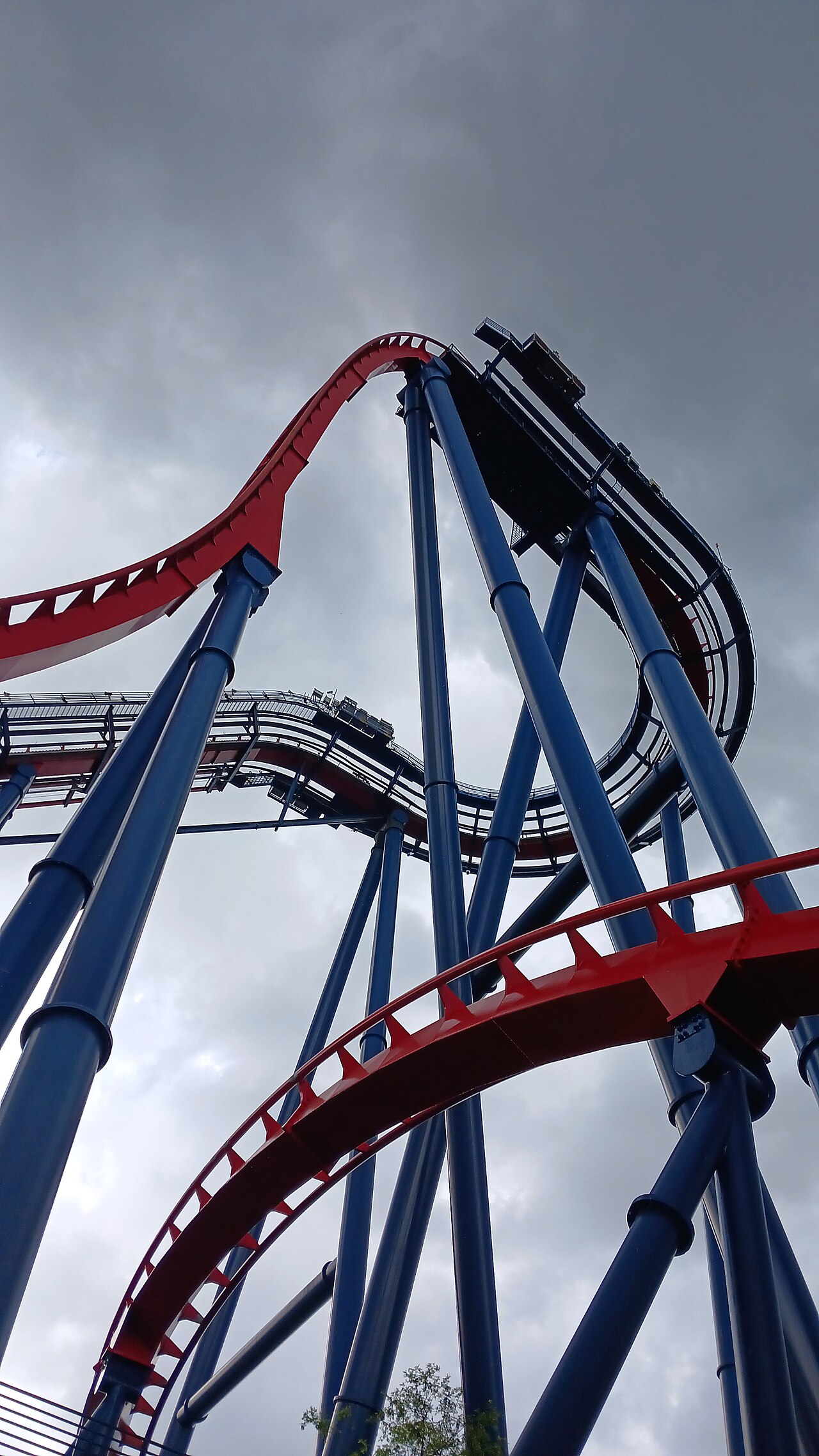 SheiKra at Busch Gardens Tampa Bay