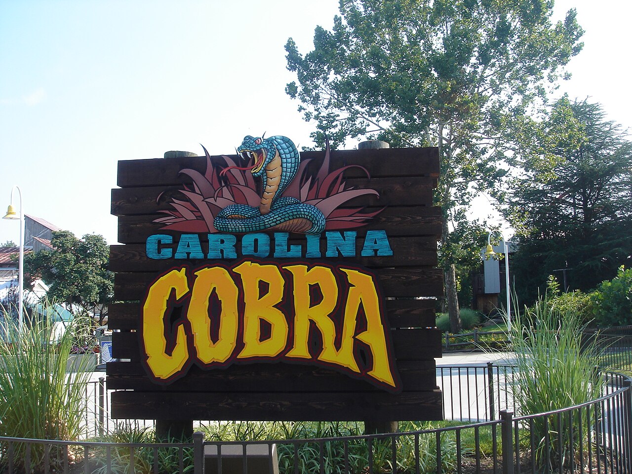 Flying Cobras at Carowinds
