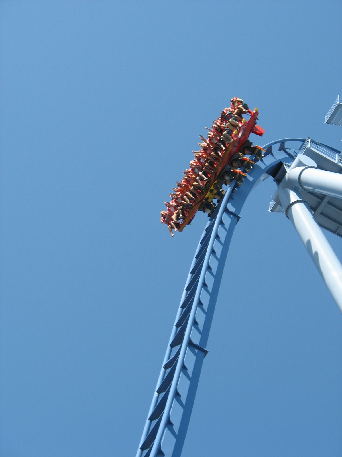Griffon at Busch Gardens Williamsburg