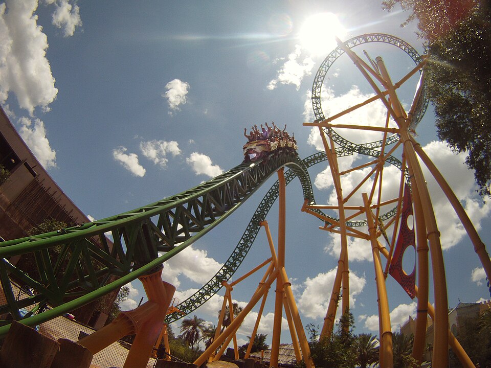 Cheetah Hunt