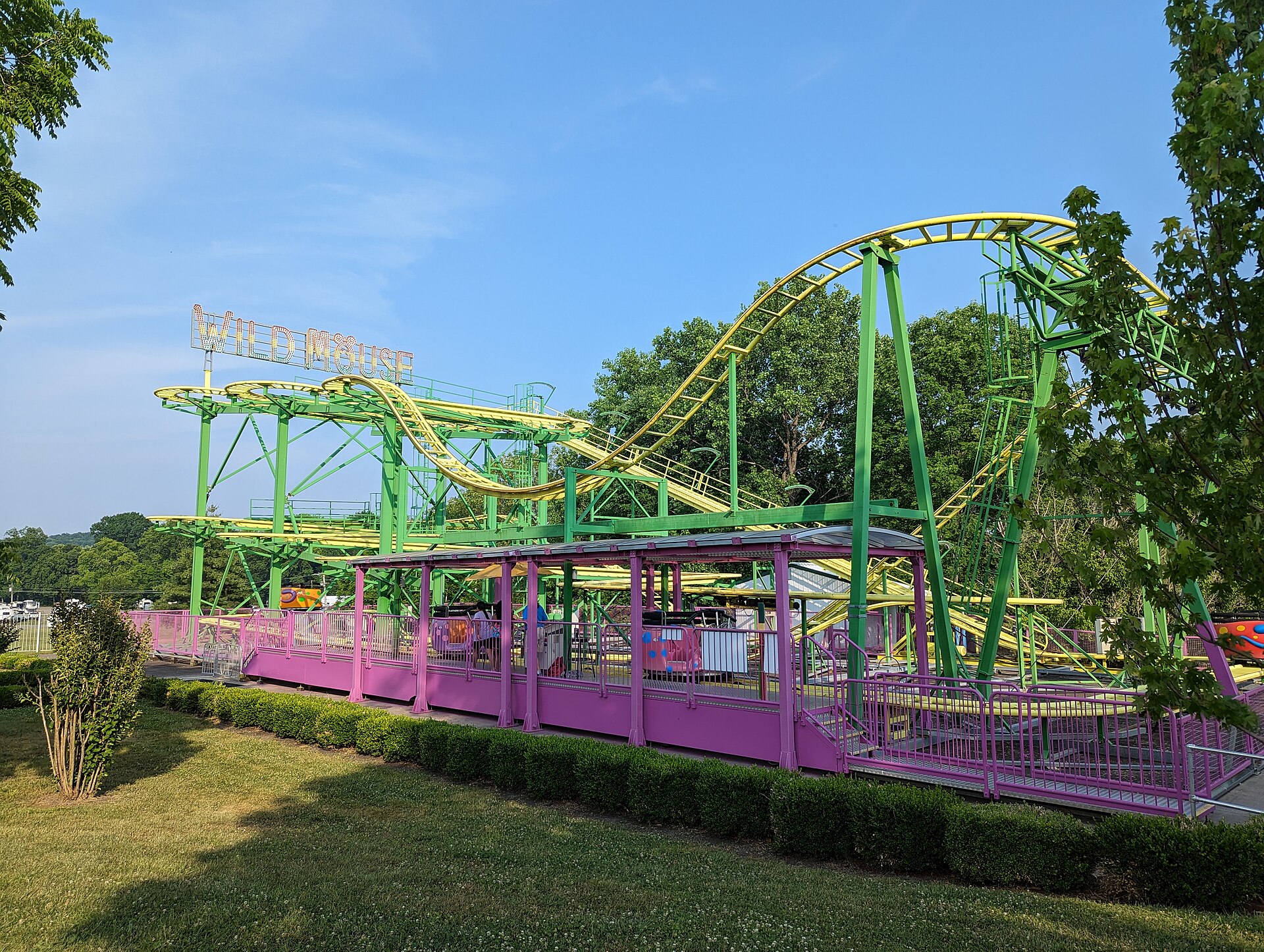 View of Wild Mouse