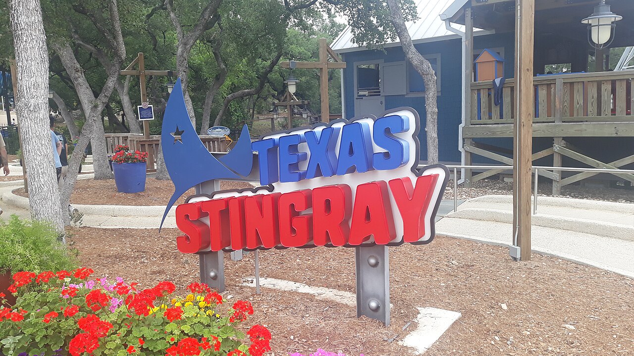 Texas Stingray at SeaWorld San Antonio