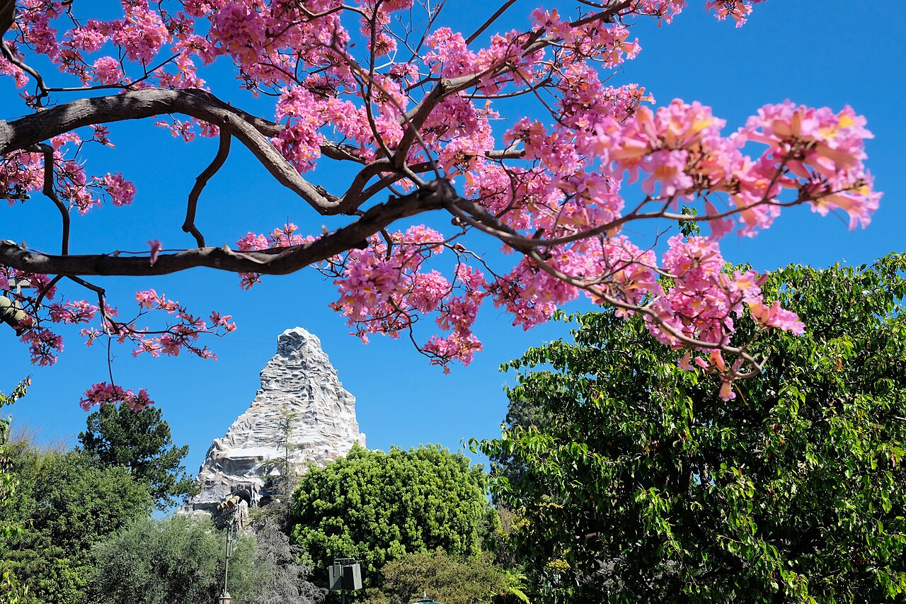 Matterhorn Bobsleds at Disneyland