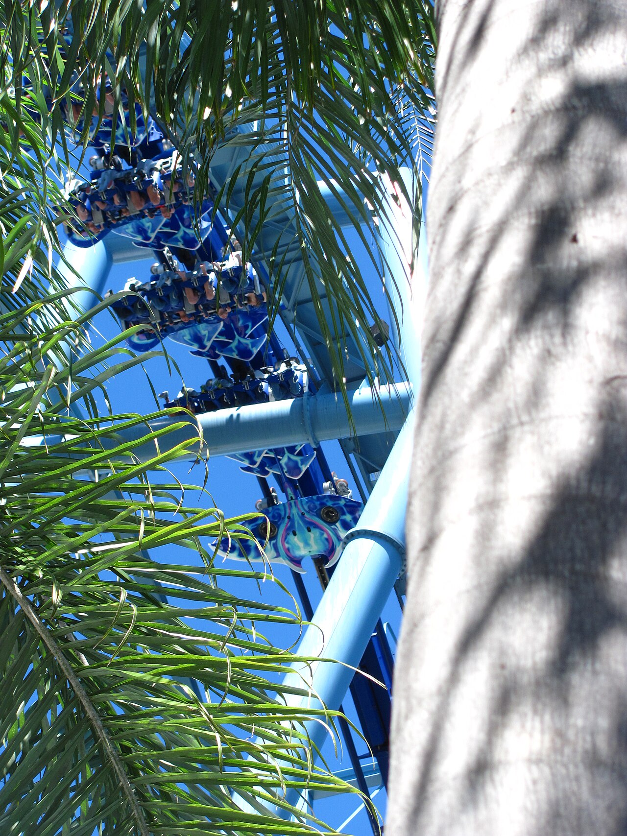 Manta at SeaWorld Orlando