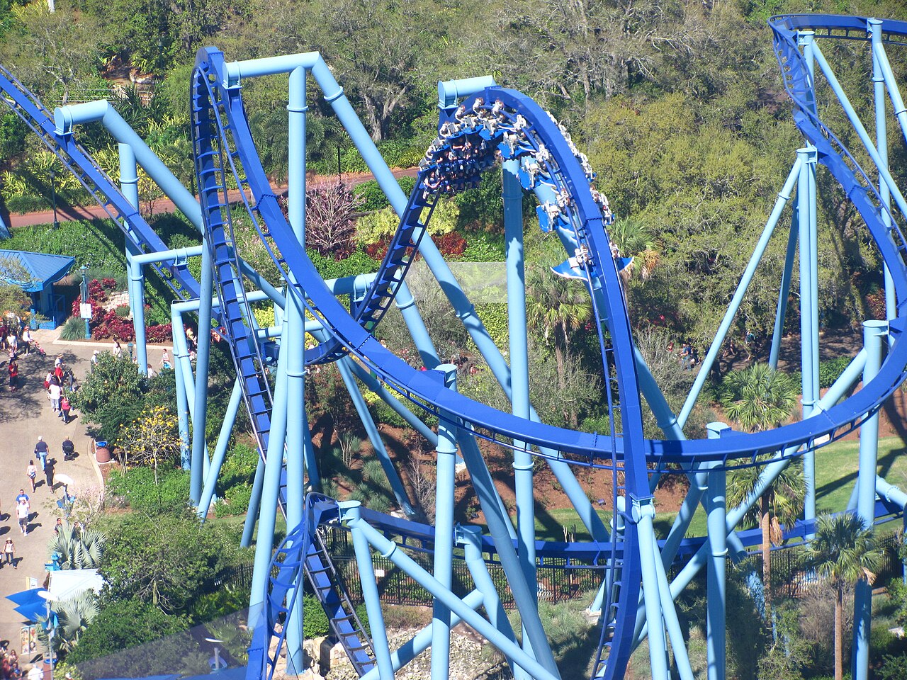 Manta at SeaWorld Orlando