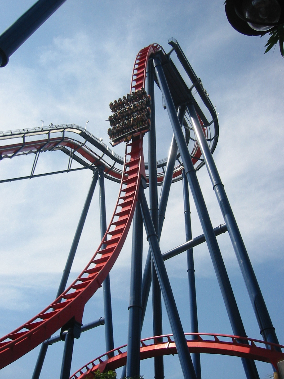 SheiKra at Busch Gardens Tampa Bay