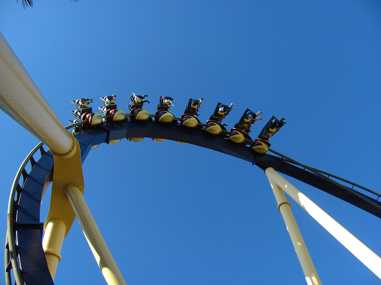 Montu Montu at Busch Gardens Tampa Bay