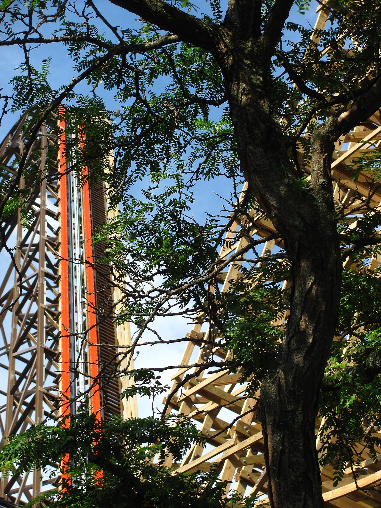 Goliath at Six Flags Great America