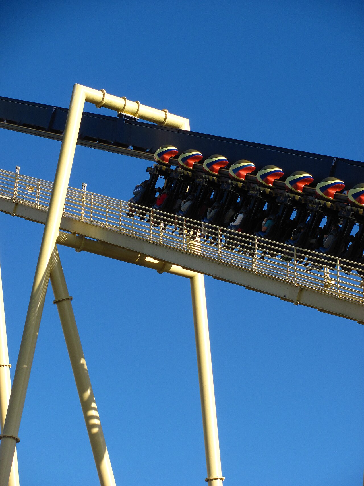 Montu Montu at Busch Gardens Tampa Bay