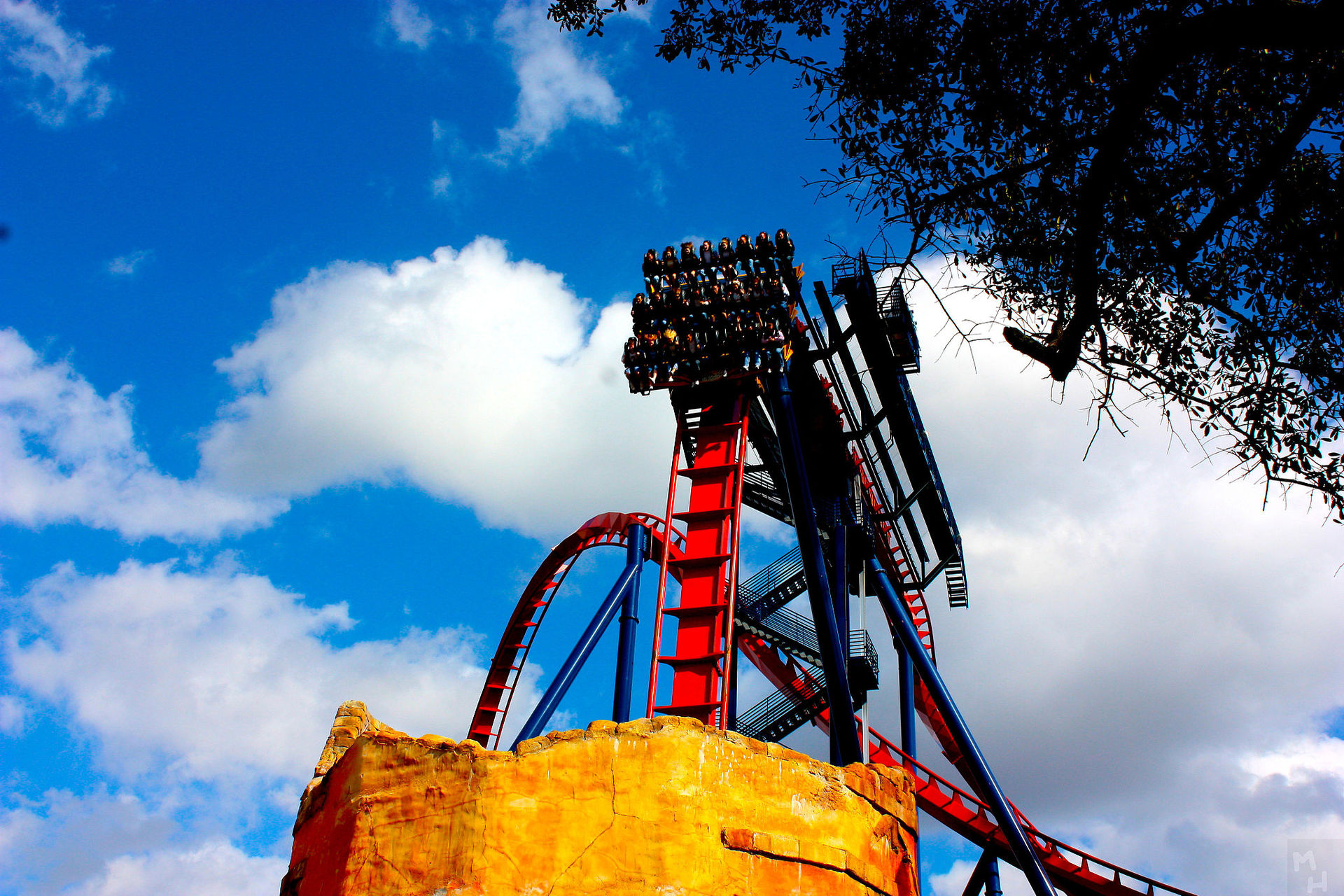 SheiKra at Busch Gardens Tampa Bay
