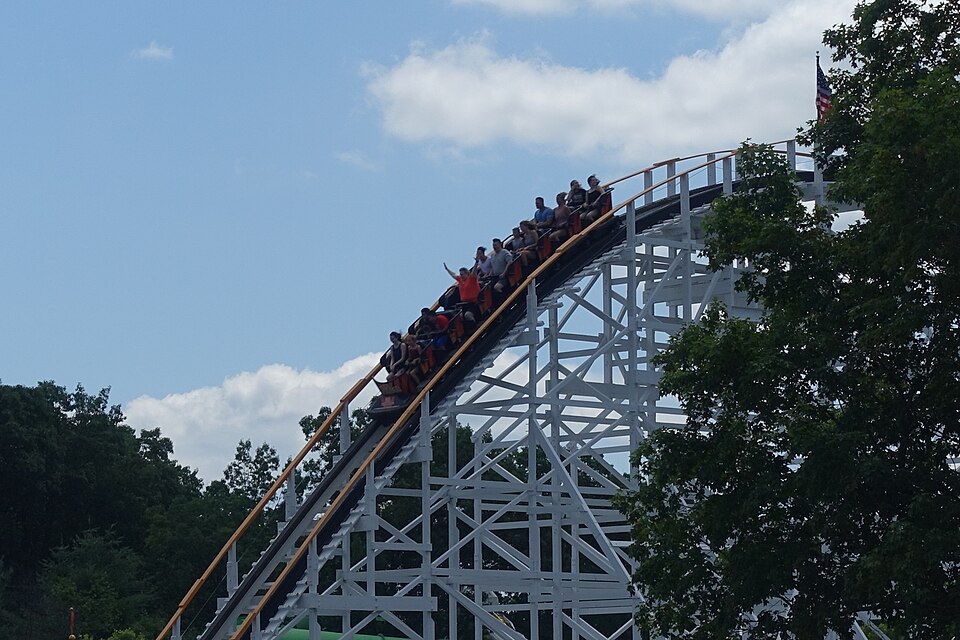 Wildcat