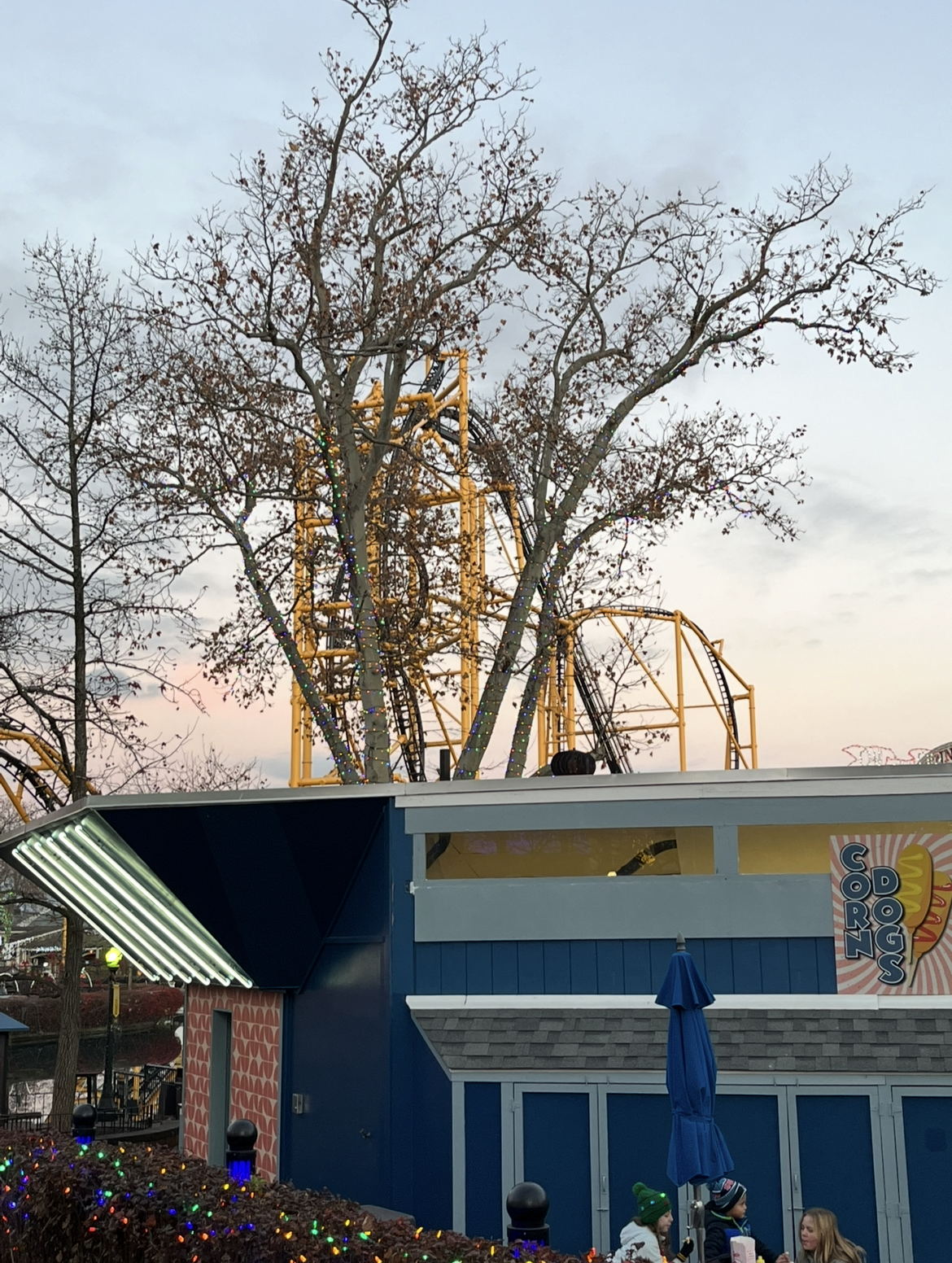 Kennywood's Steel Curtain