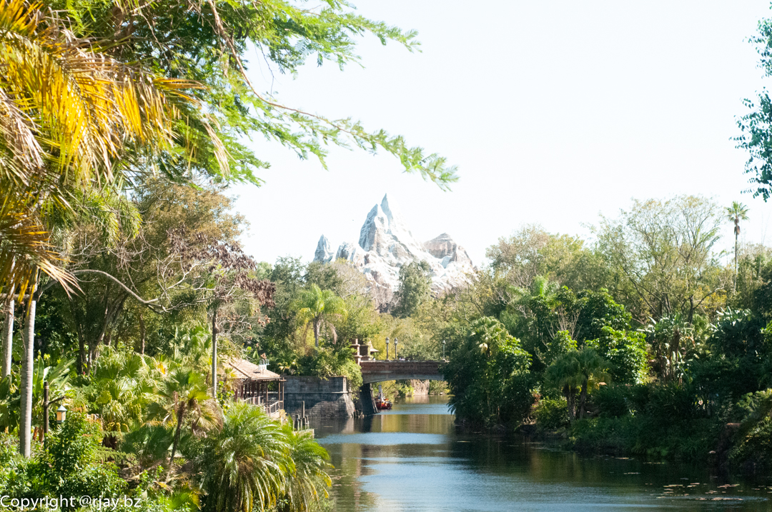Expedition Everest at Disney's Animal Kingdom
