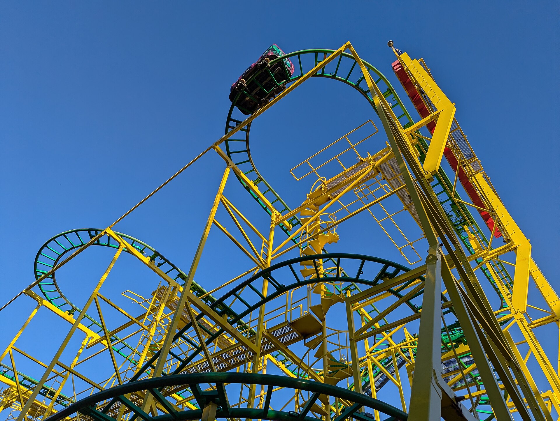 Wild Mouse's underside
