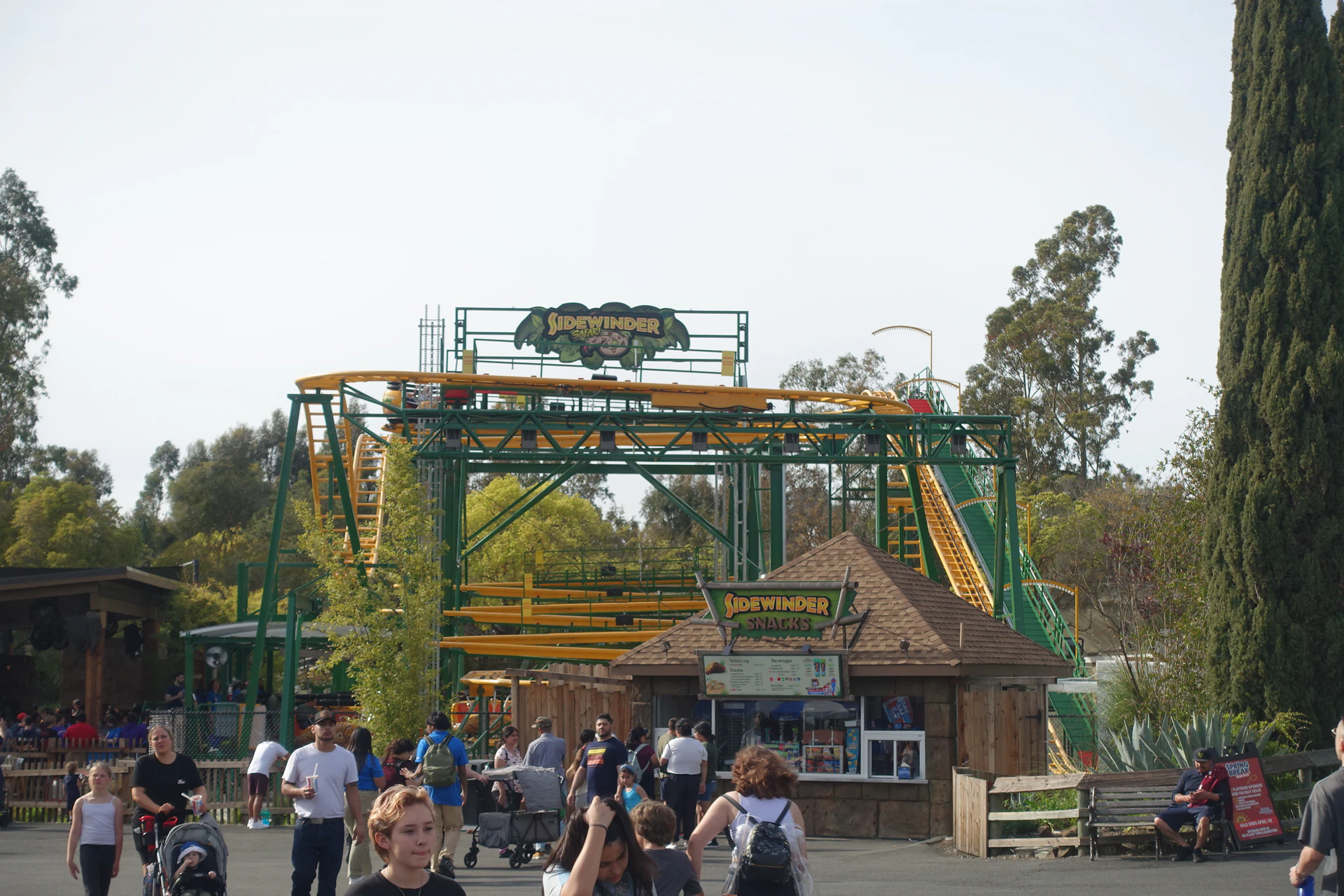 Sidewinder Safari