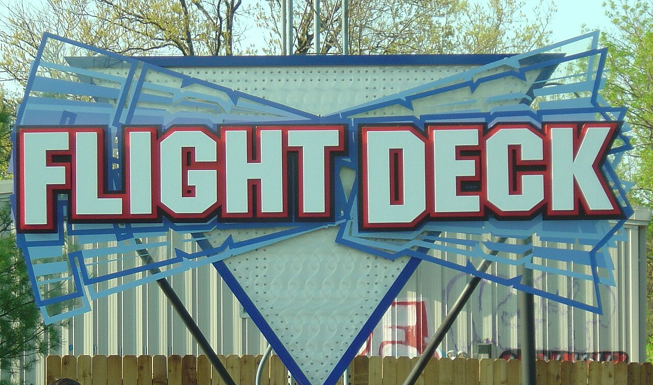 Bat at Kings Island