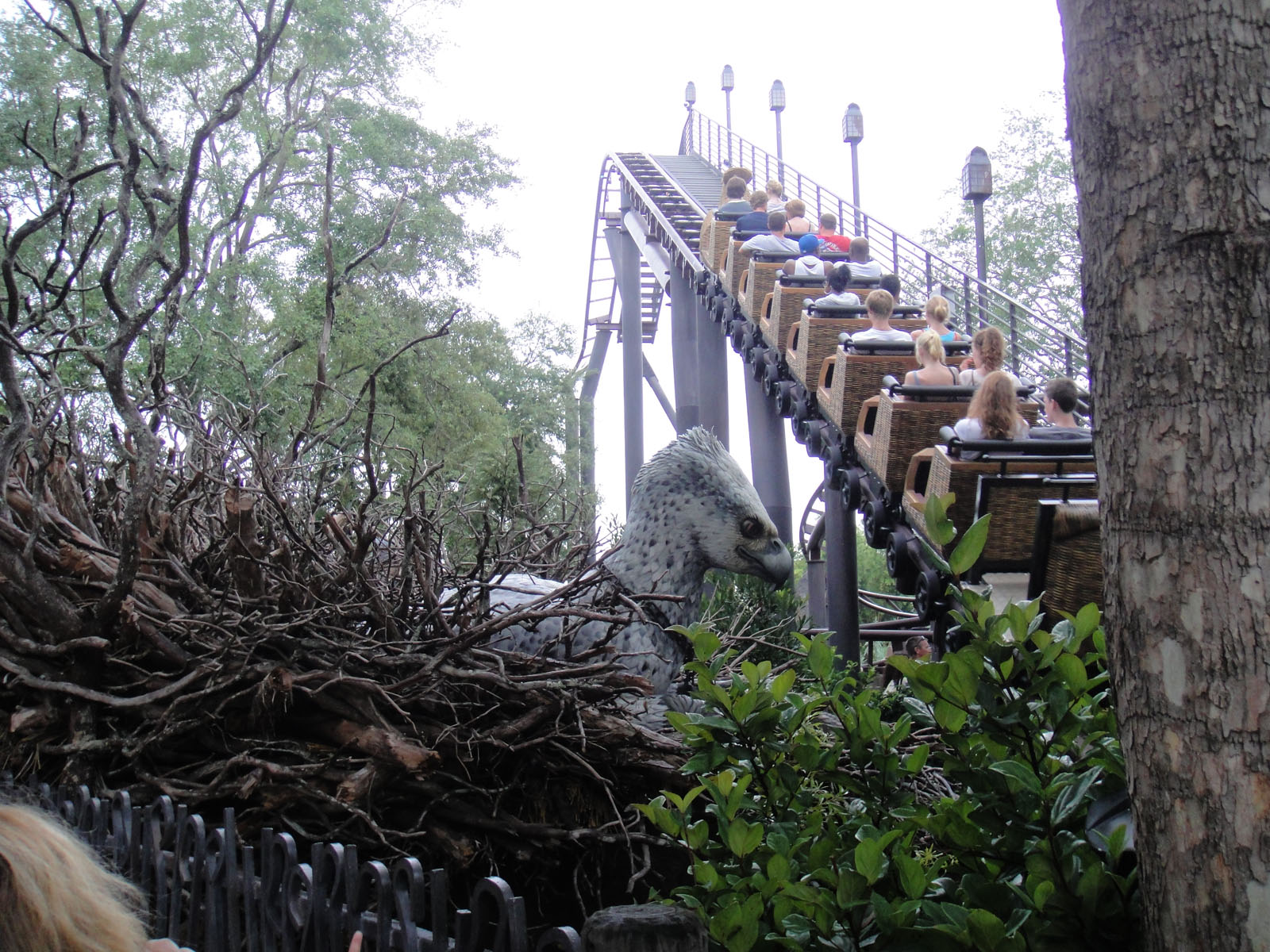 Flight of the Hippogriff at Universal's Islands of Adventure