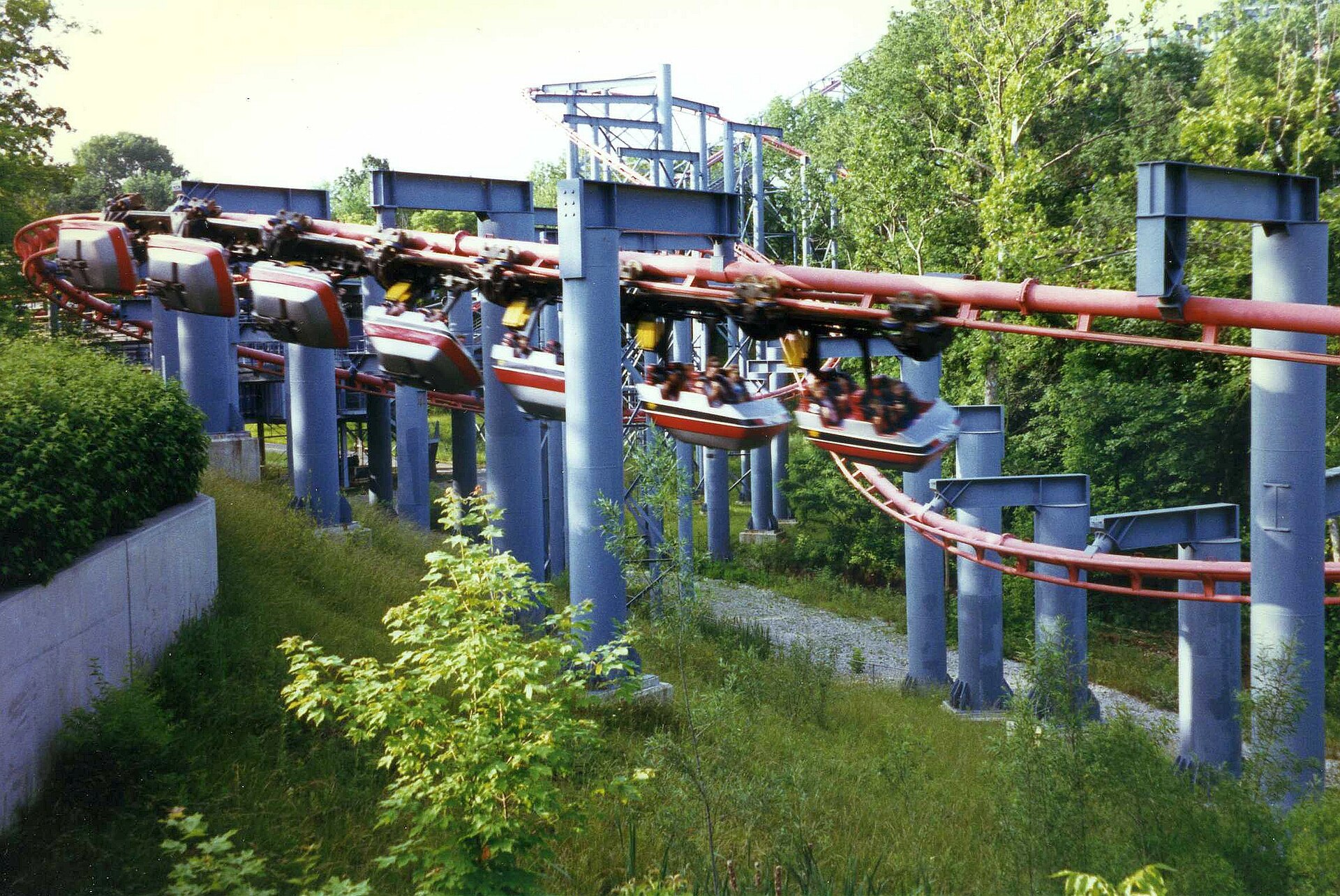 Bat at Kings Island