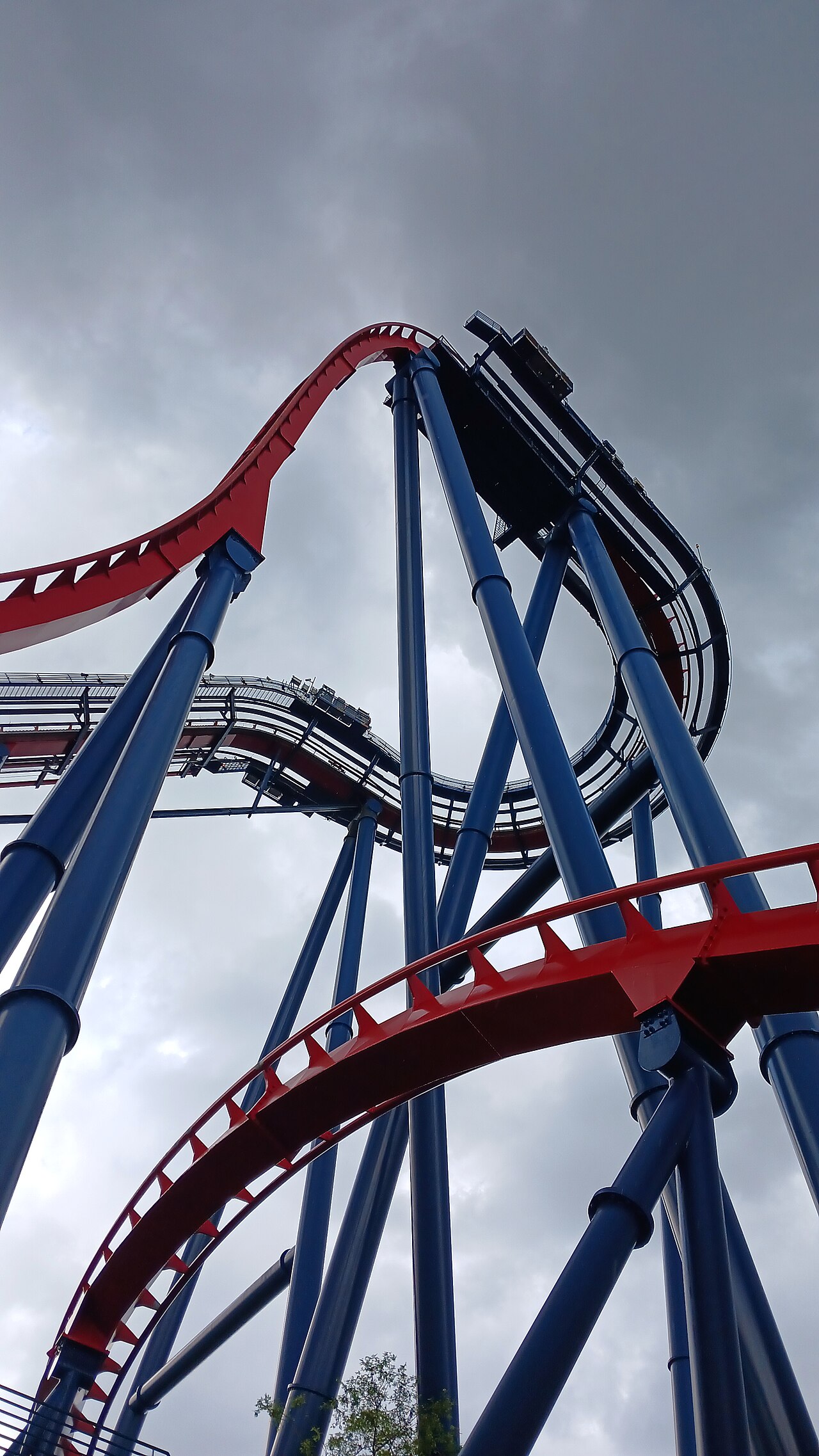 SheiKra at Busch Gardens Tampa Bay