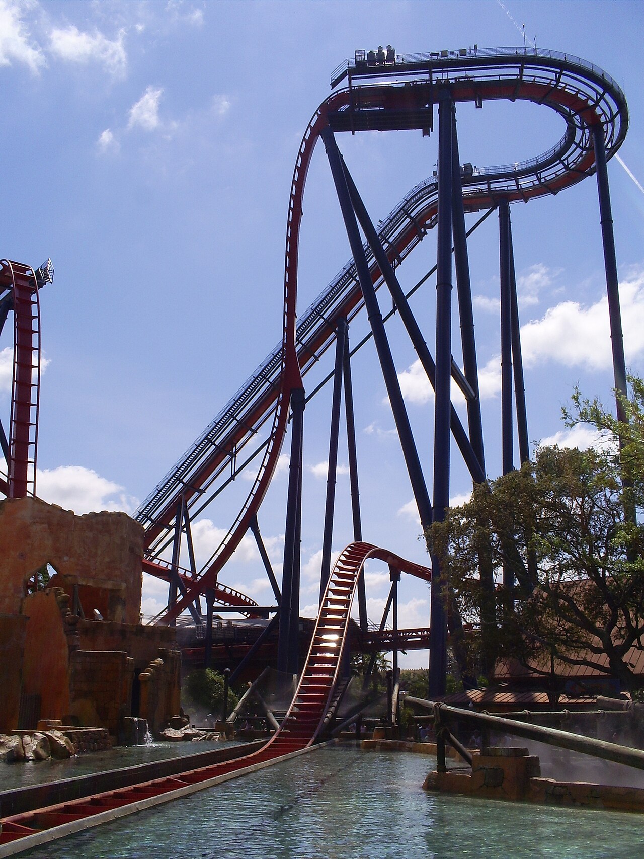 SheiKra at Busch Gardens Tampa Bay