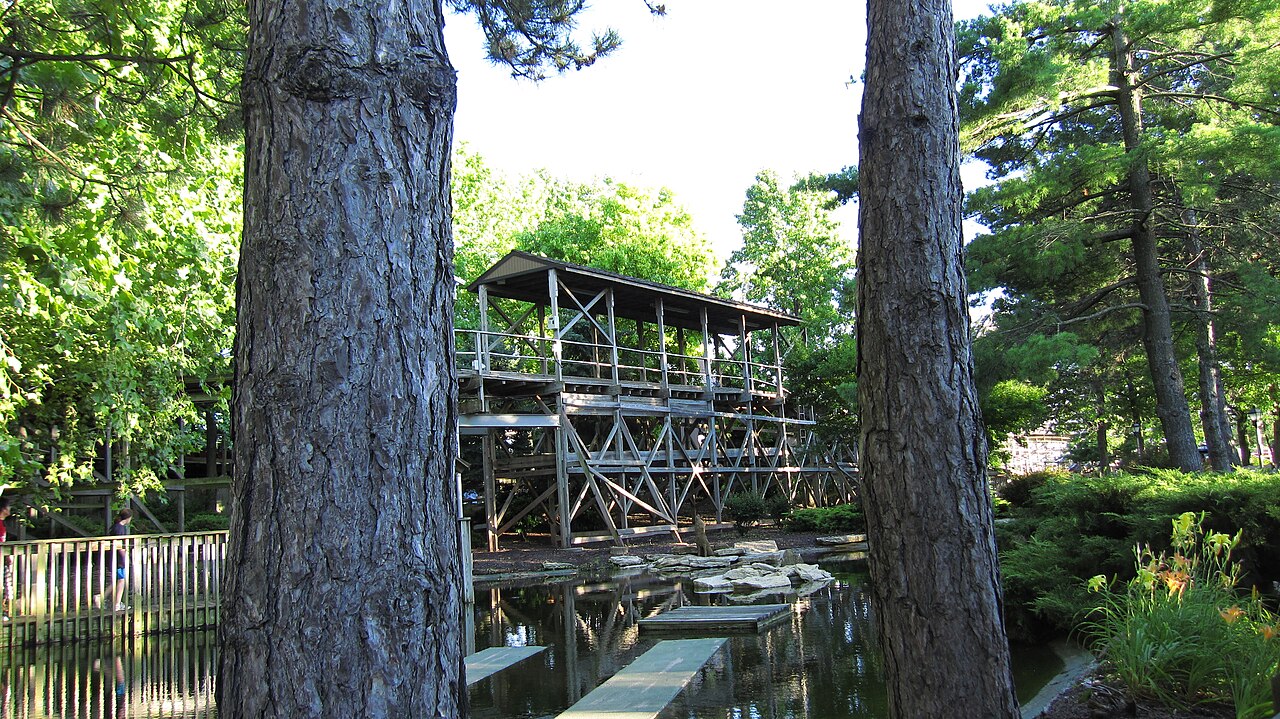 Timber Wolf, Timber Woods