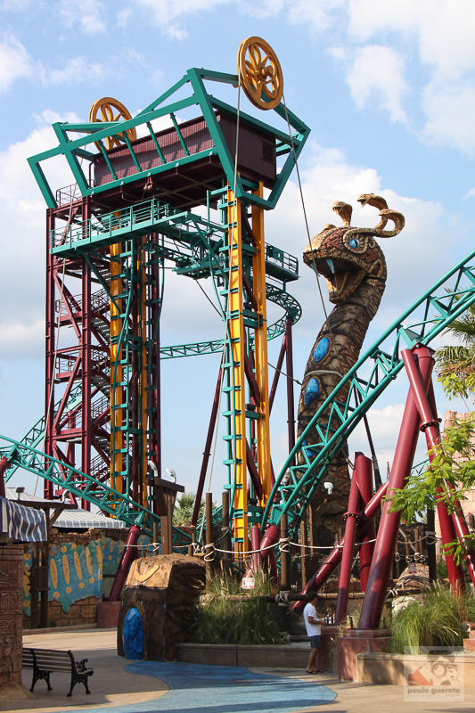 Cobra's Curse at Busch Gardens Tampa Bay