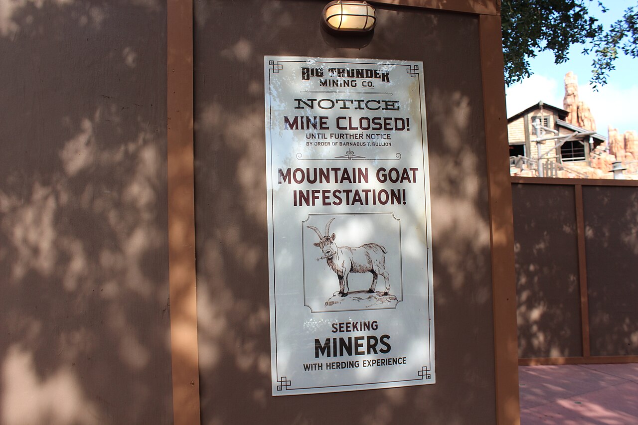Big Thunder Mountain Railroad at Walt Disney World - Magic Kingdom