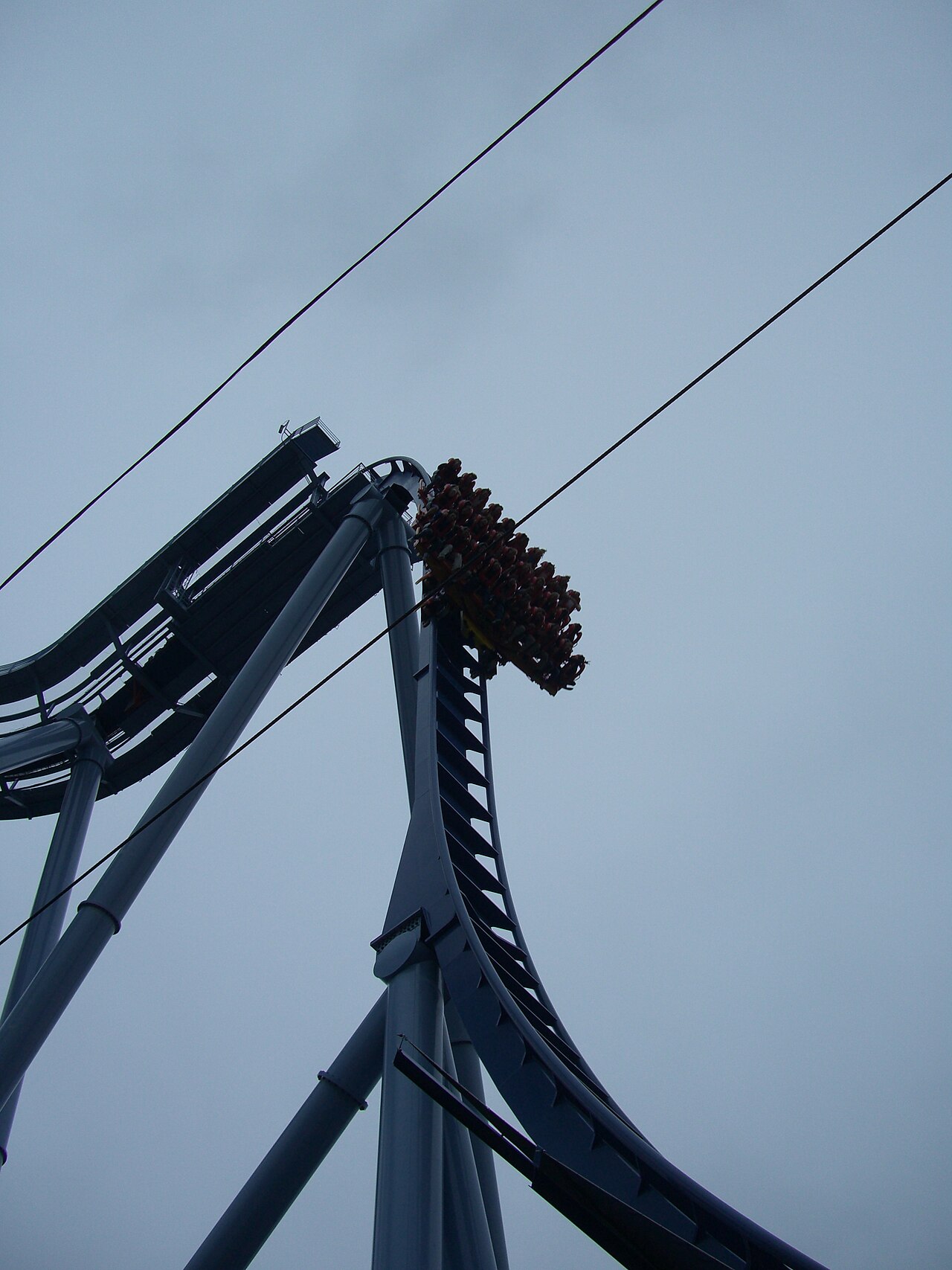 Griffon at Busch Gardens Williamsburg