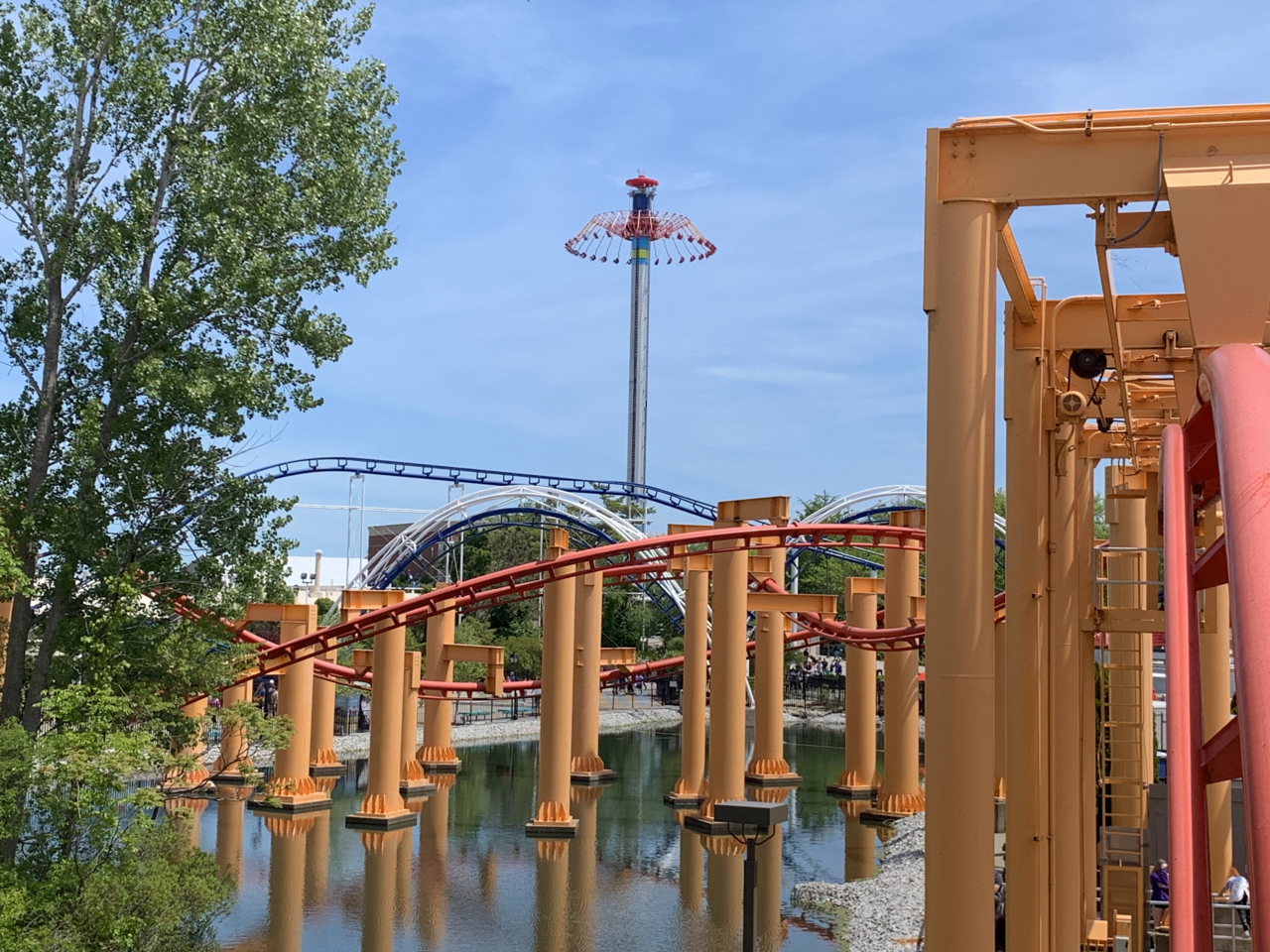 Iron Dragon at Cedar Point