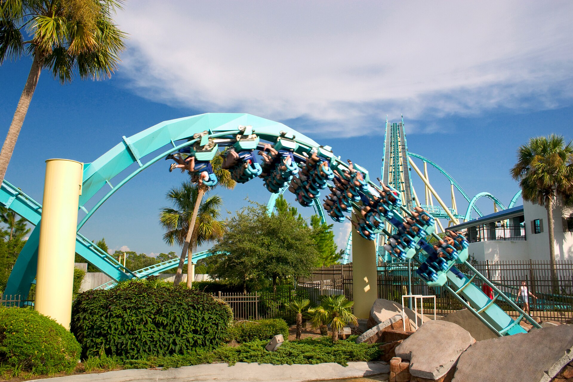 The Kraken roller coaster at SeaWorld in Orlando, Florida is known for its several loops