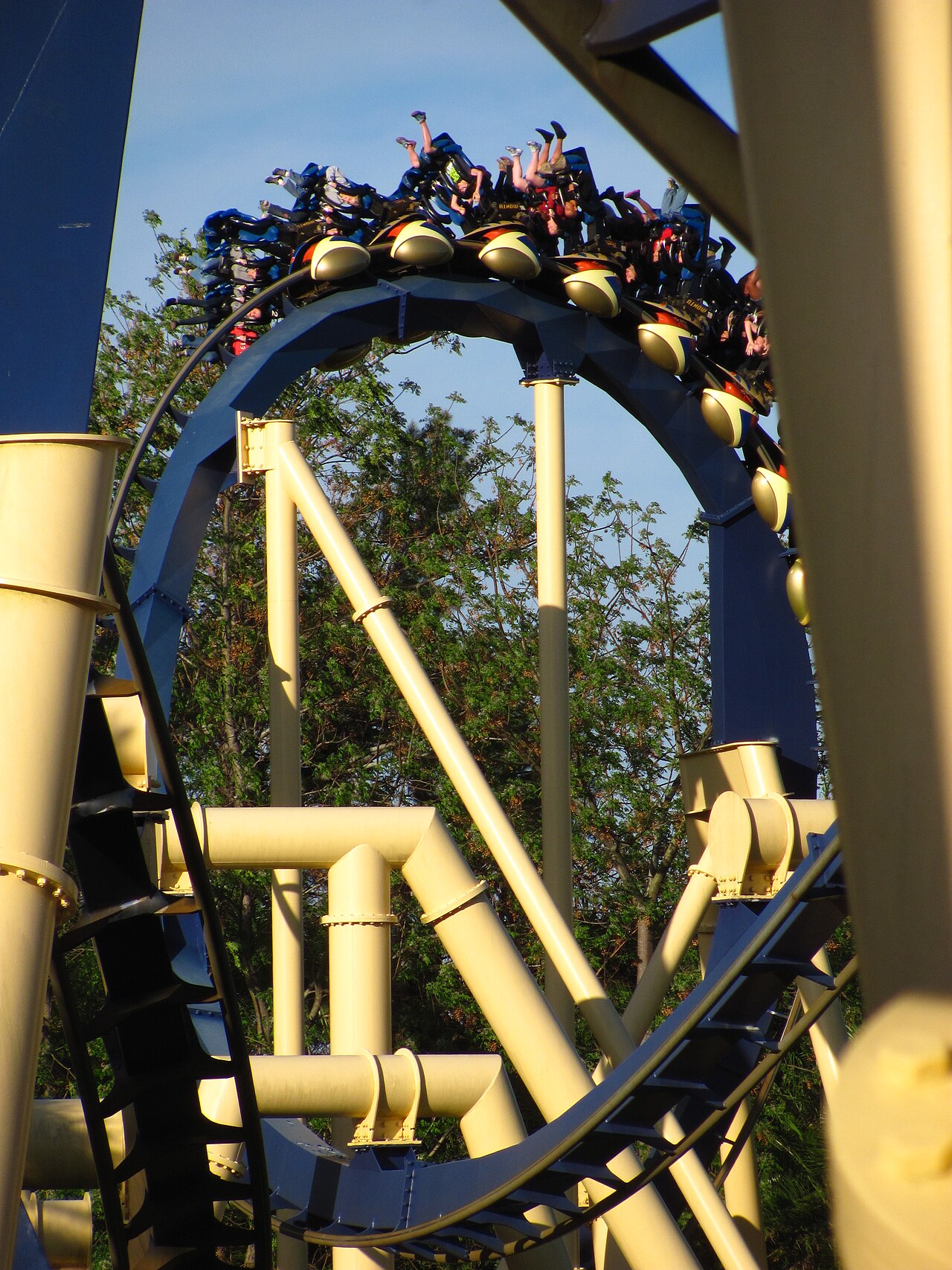 Montu Montu at Busch Gardens Tampa Bay