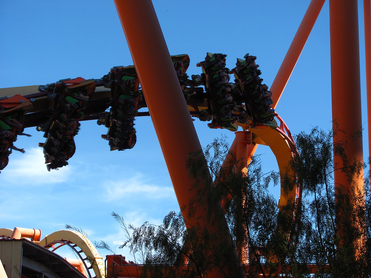 Tatsu at Six Flags Magic Mountain