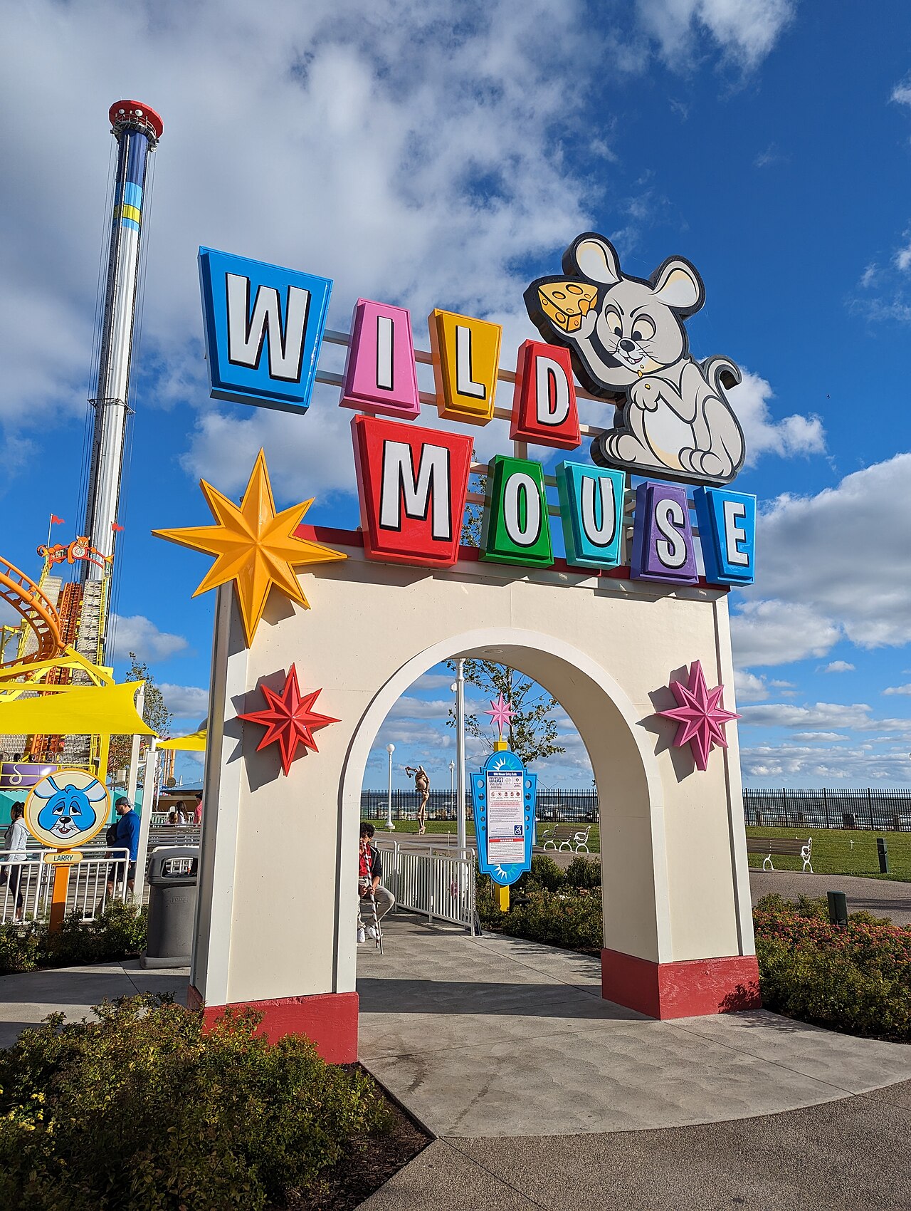 Wild Mouse
