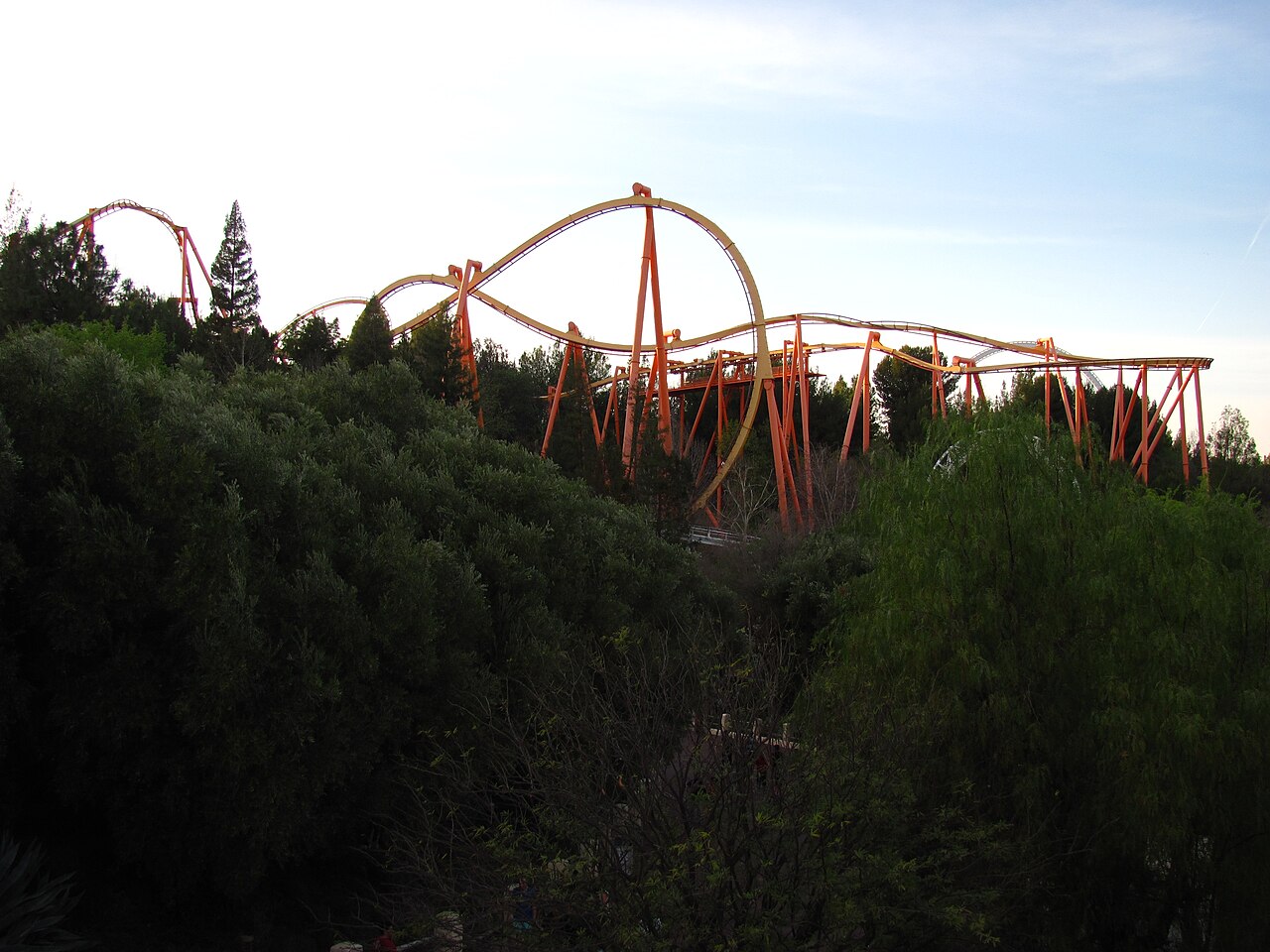 Tatsu at Six Flags Magic Mountain