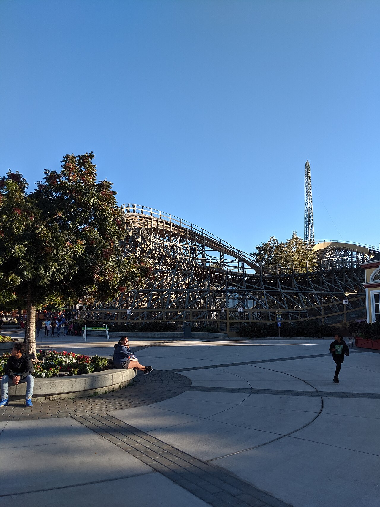 Gold Striker, Great America, Santa Clara
